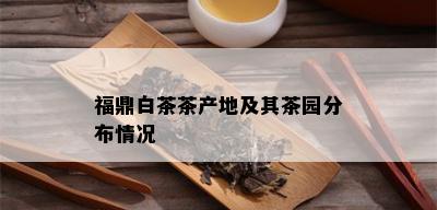 福鼎白茶茶产地及其茶园分布情况