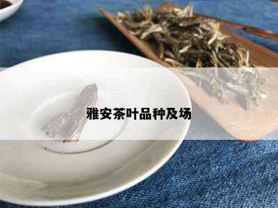 雅安茶叶品种及场