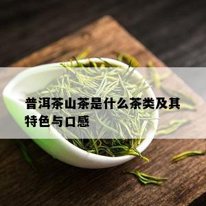 普洱茶山茶是什么茶类及其特色与口感