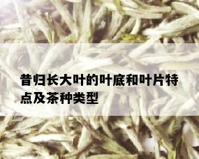 昔归长大叶的叶底和叶片特点及茶种类型