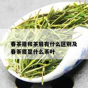 春茶眉和茶眉有什么区别及春茶眉是什么茶叶