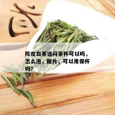 陈皮白茶送闷茶杯可以吗，怎么泡，图片，可以用保杯吗？