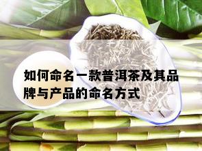 如何命名一款普洱茶及其品牌与产品的命名方式