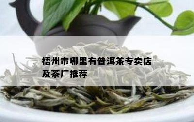 梧州市哪里有普洱茶专卖店及茶厂推荐