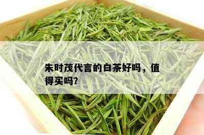 朱时茂代言的白茶好吗，值得买吗？