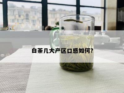 白茶几大产区口感如何?