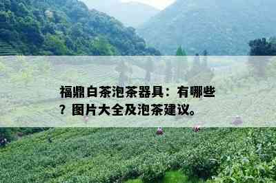 福鼎白茶泡茶器具：有哪些？图片大全及泡茶建议。