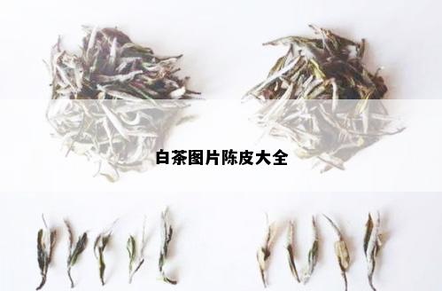 白茶图片陈皮大全