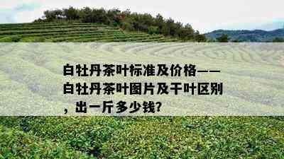 白牡丹茶叶标准及价格——白牡丹茶叶图片及干叶区别，出一斤多少钱？