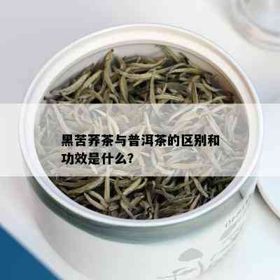 黑苦荞茶与普洱茶的区别和功效是什么？