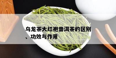 乌龙茶大红袍普洱茶的区别、功效与作用