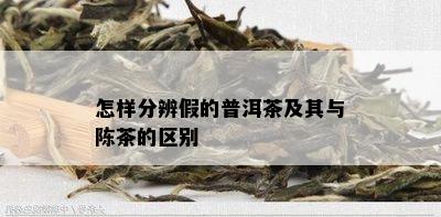 怎样分辨假的普洱茶及其与陈茶的区别