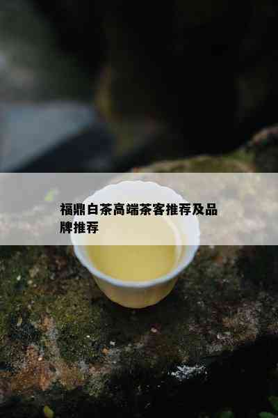 福鼎白茶高端茶客推荐及品牌推荐