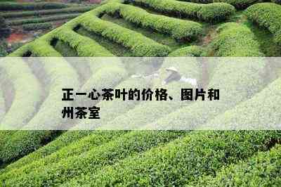 正一心茶叶的价格、图片和州茶室