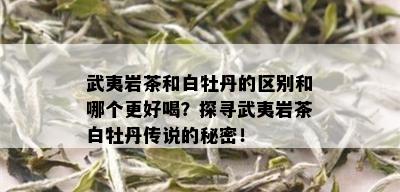 武夷岩茶和白牡丹的区别和哪个更好喝？探寻武夷岩茶白牡丹传说的秘密！