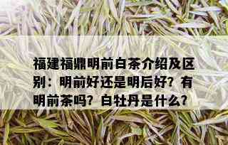 福建福鼎明前白茶介绍及区别：明前好还是明后好？有明前茶吗？白牡丹是什么？