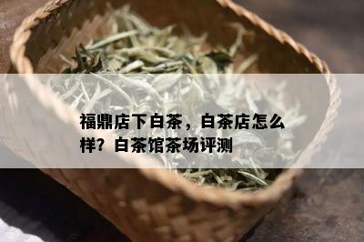 福鼎店下白茶，白茶店怎么样？白茶馆茶场评测