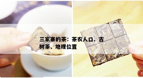 三家寨的茶：茶农人口、古树茶、地理位置