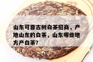 山东可靠古树白茶招商，产地山东的白茶，山东哪些地方产白茶？