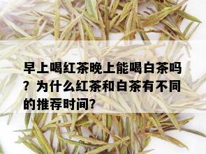 早上喝红茶晚上能喝白茶吗？为什么红茶和白茶有不同的推荐时间？