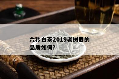 六秒白茶2019老树眉的品质如何？