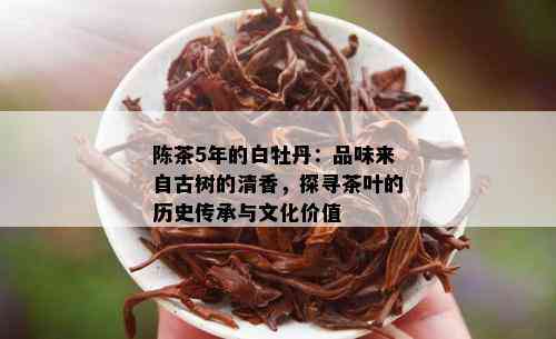 陈茶5年的白牡丹：品味来自古树的清香，探寻茶叶的历史传承与文化价值