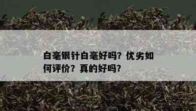 白毫银针白毫好吗？优劣如何评价？真的好吗？