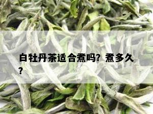 白牡丹茶适合煮吗？煮多久？