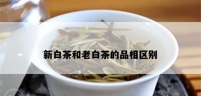 新白茶和老白茶的品相区别