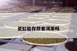 瓷缸能存放普洱茶吗