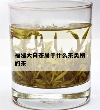 福建大白茶属于什么茶类别的茶