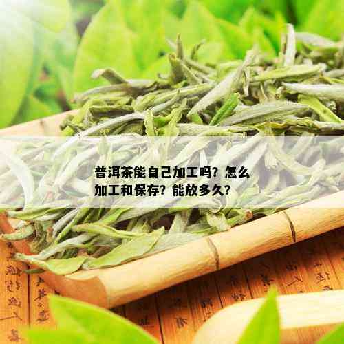 普洱茶能自己加工吗？怎么加工和保存？能放多久？