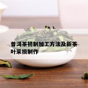 普洱茶初制加工方法及新茶叶采摘制作