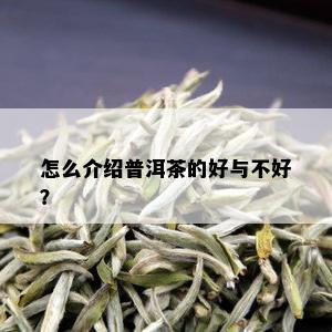 怎么介绍普洱茶的好与不好？