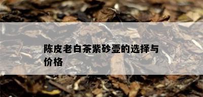 陈皮老白茶紫砂壶的选择与价格