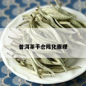 普洱茶干仓陈化原理