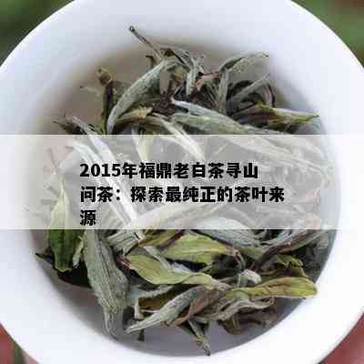 2015年福鼎老白茶寻山问茶：探索最纯正的茶叶来源