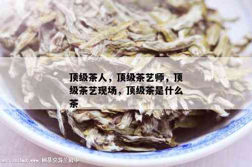 顶级茶人，顶级茶艺师，顶级茶艺现场，顶级茶是什么茶