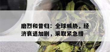 磨烈和昔归：全球威胁，经济衰退加剧，采取紧急措