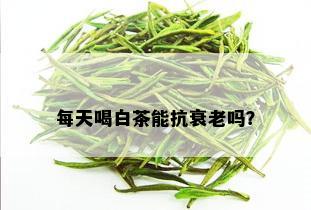 每天喝白茶能抗衰老吗？