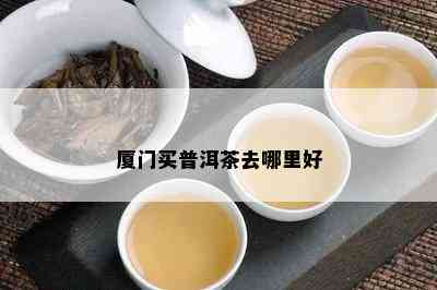 厦门买普洱茶去哪里好