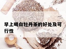 早上喝白牡丹茶的好处及可行性