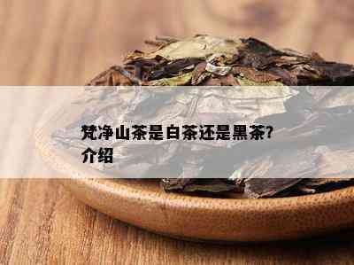 梵净山茶是白茶还是黑茶？介绍