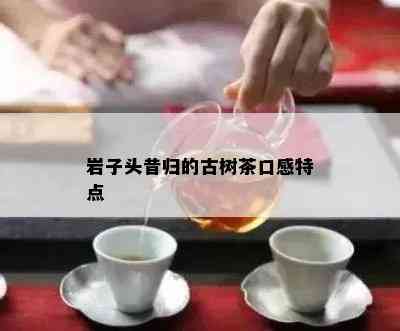 岩子头昔归的古树茶口感特点