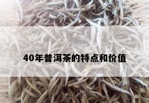 40年普洱茶的特点和价值