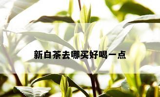 新白茶去哪买好喝一点