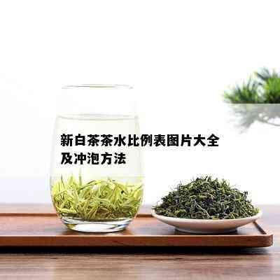 新白茶茶水比例表图片大全及冲泡方法