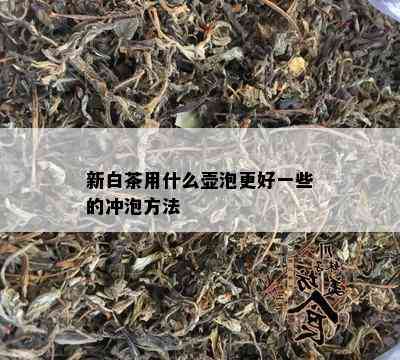 新白茶用什么壶泡更好一些的冲泡方法