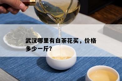 武汉哪里有白茶花买，价格多少一斤？