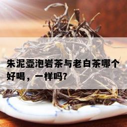 朱泥壶泡岩茶与老白茶哪个好喝，一样吗？